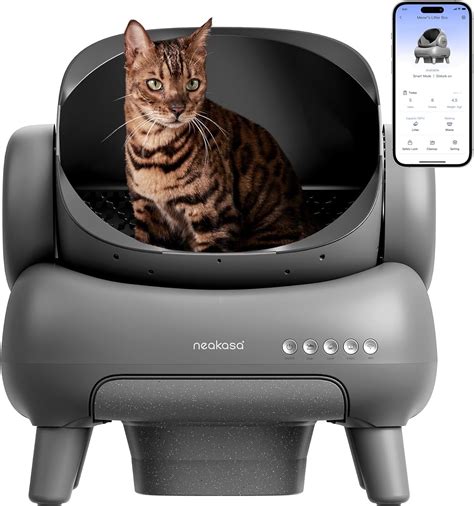 The 6 Best Automatic Self.